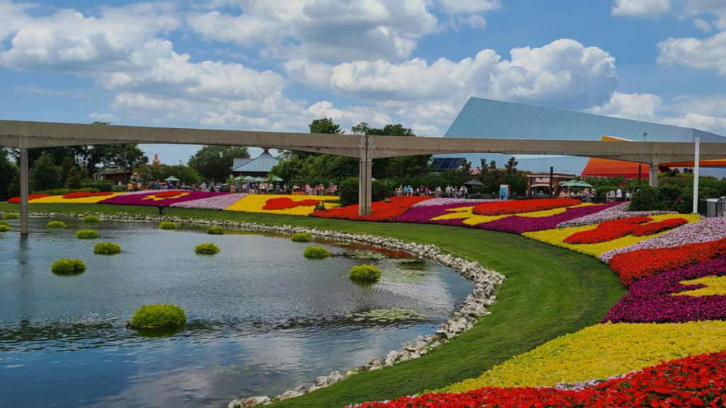 Epcot Landscape