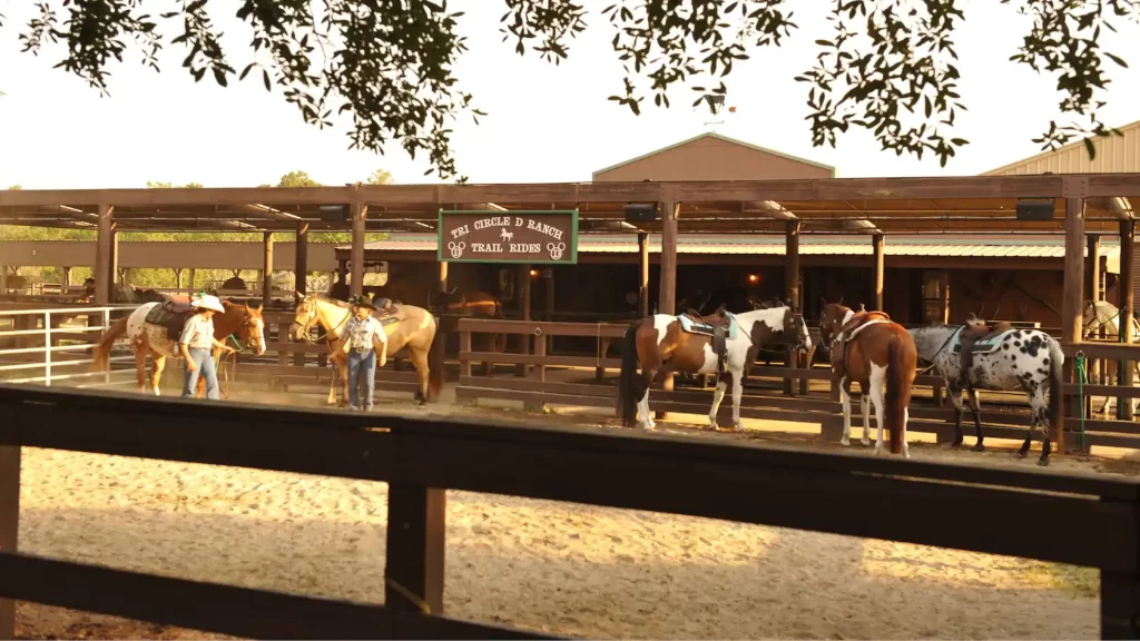 Stables at Fort Wilderness.  Do activities outside the theme parks to stay within your Disney World Budget