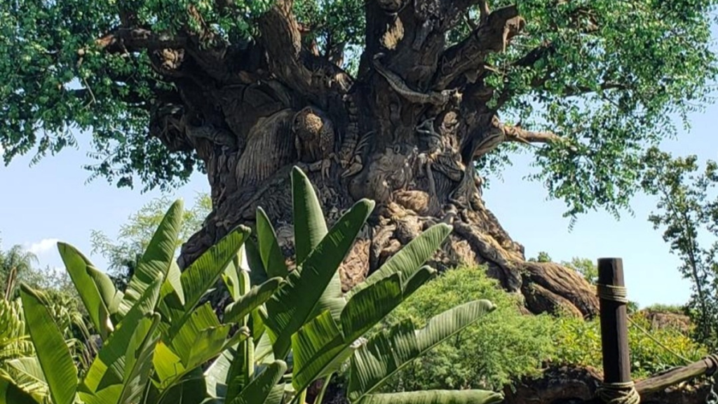 The Tree of Life in Animal Kingdom