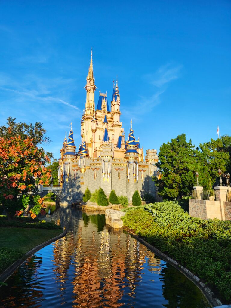 Disney World's Cinderella Castle