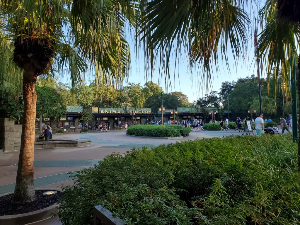 Disney's Animal kingdom park entrance