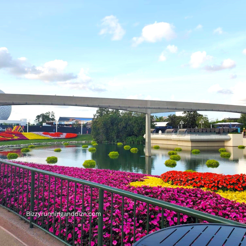 Epcot Landscape