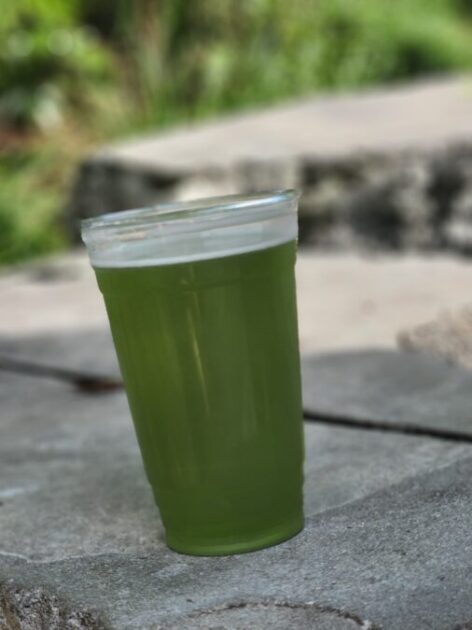 green ale through mobile order at Disney