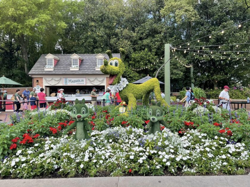 Epcot flower and garden festival topiary of pluto