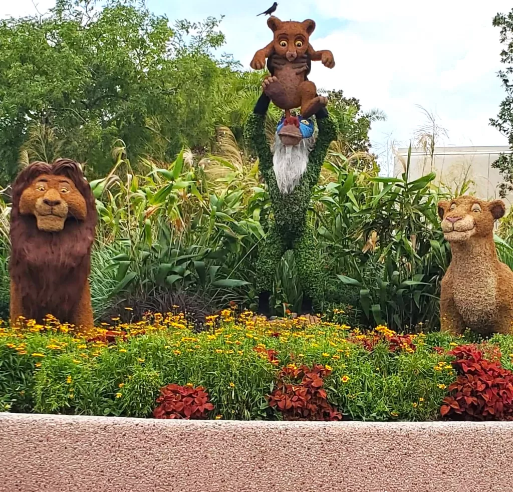 Lion King themed topiaries at EPCOT International Flower and Garden Festival. 