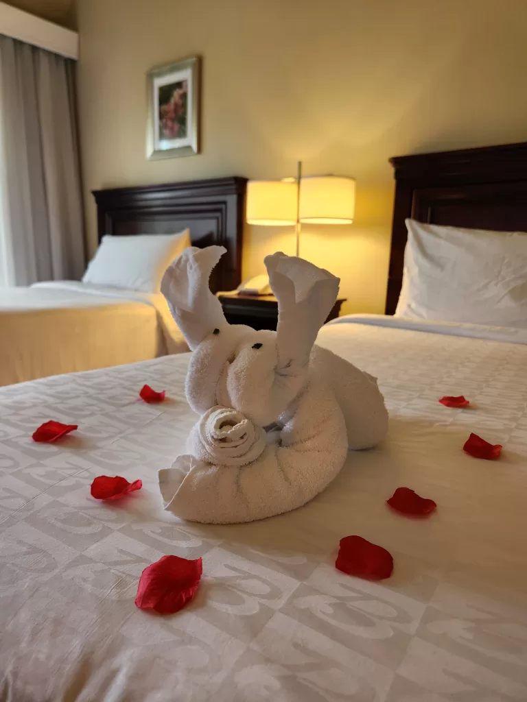 Towel art from housekeeping at Beaches Turks and Caicos. 